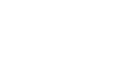 Precision Polymer Engineering International LLC - Elastomer Sealing Components